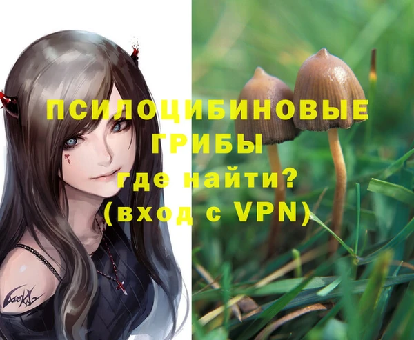 стафф Абаза